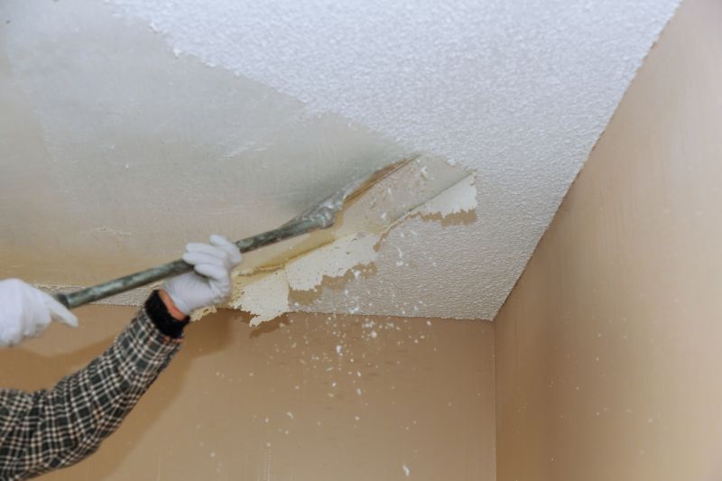 Popcorn Ceiling Renovation